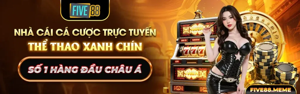 An toàn và công bằng tại 7m005